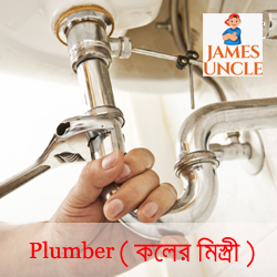 Plumber Mr. Rajib Bhowmick in Astara